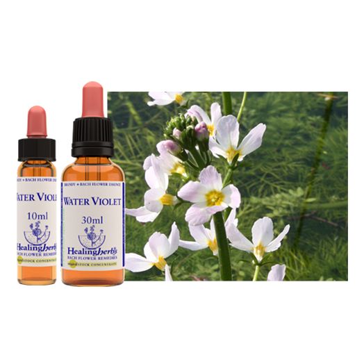 Healing Herbs Bach Water Violet (10ml)
