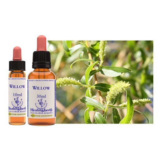 Healing Herbs Bach Willow (10ml)