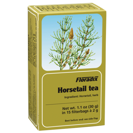 Salus Haus Horsetail Tea (15 Teabags)